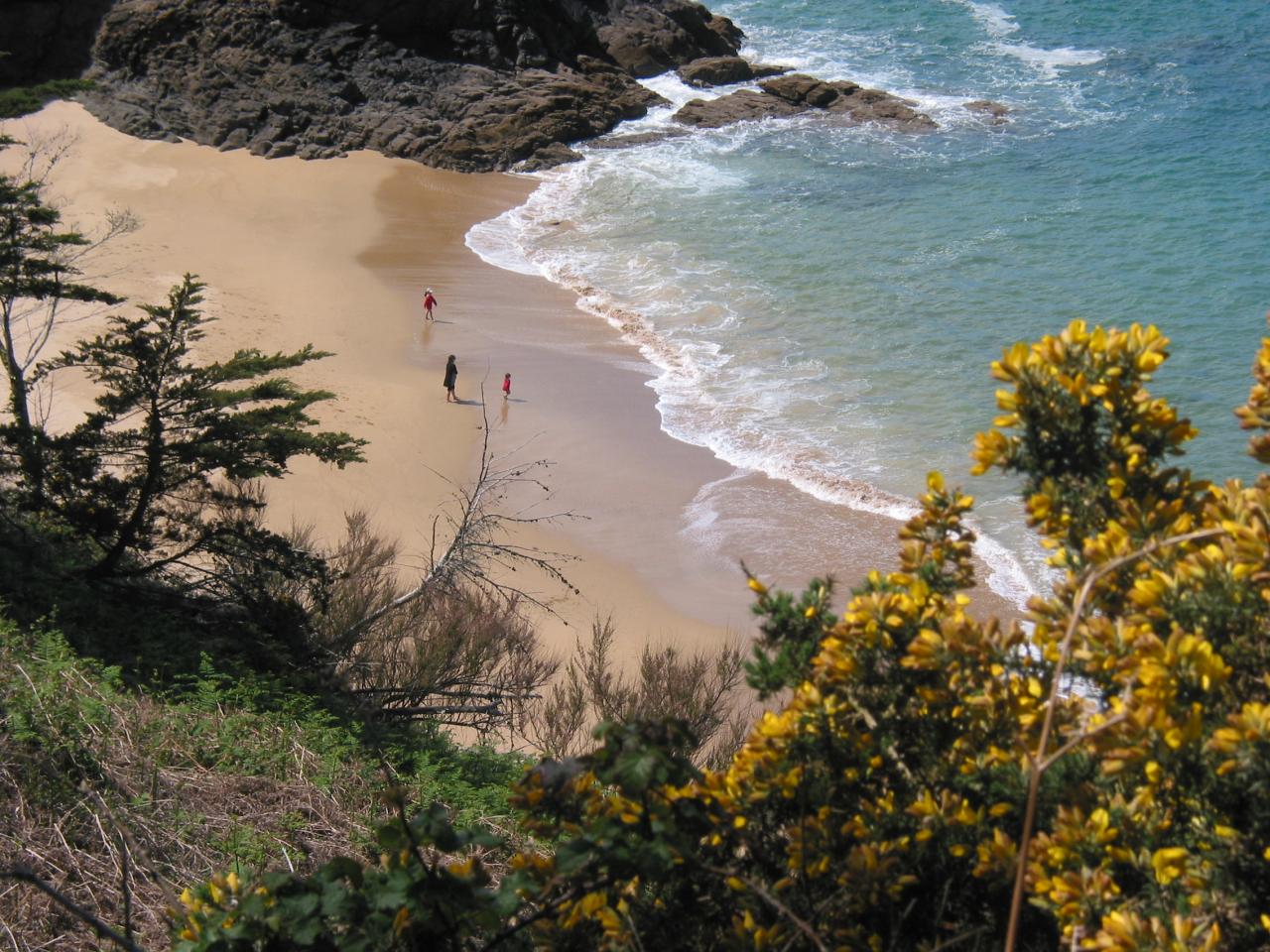 Randonnée le long de la côte