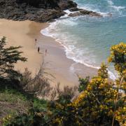 Randonnée le long de la côte