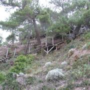 Escalier au départ du Port