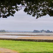 Ile-aux-Moines - Marée basse au Brouël