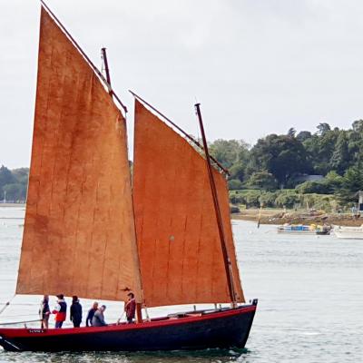 Ile-aux-Moines - Sinagot à liseré rouge