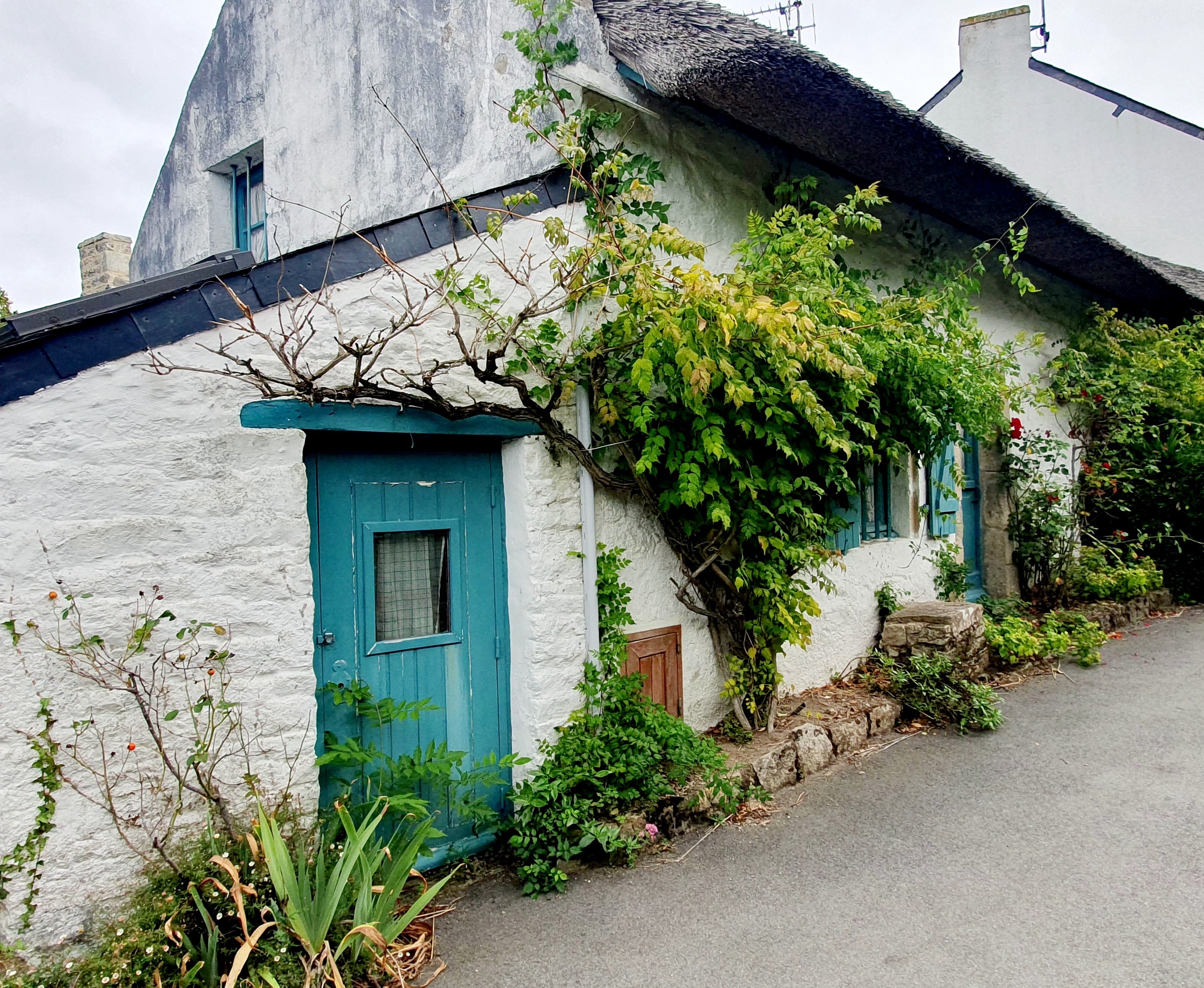 Ile-aux-Moines - Toit de chaume