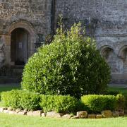 Abbaye de la Lucerne d’Outremer