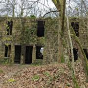 Randonnée dans la forêt de Domfront