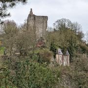 Randonnée dans la forêt de Domfront