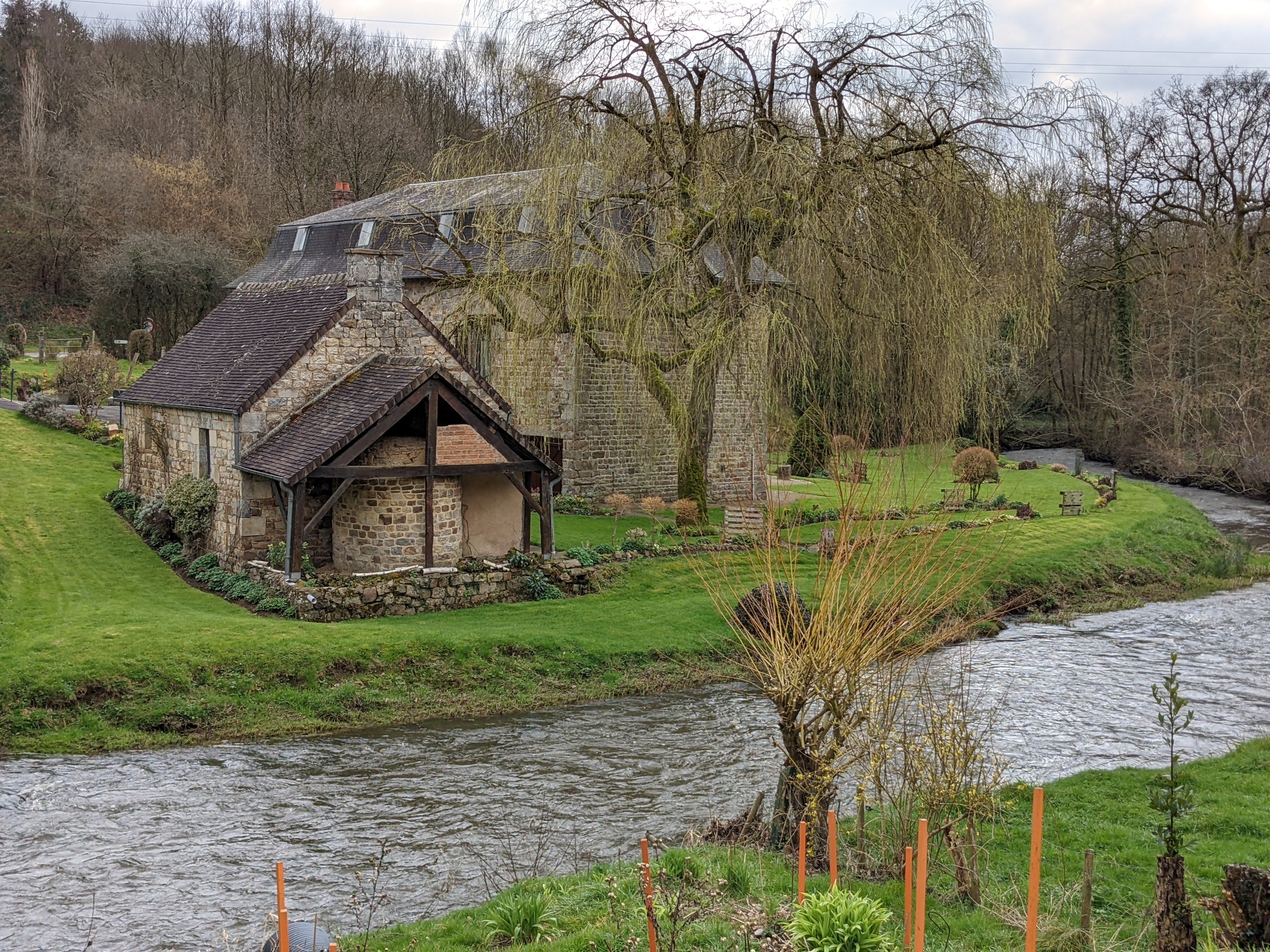 Randonnée dans la forêt de Domfront