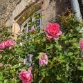 Josselin